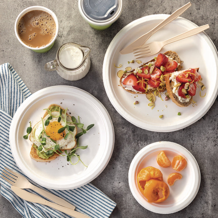 EarthChoice PFAS Free Compostable Dinnerware, Plate, Sugarcane, 6" dia, Natural, 1,000/Carton