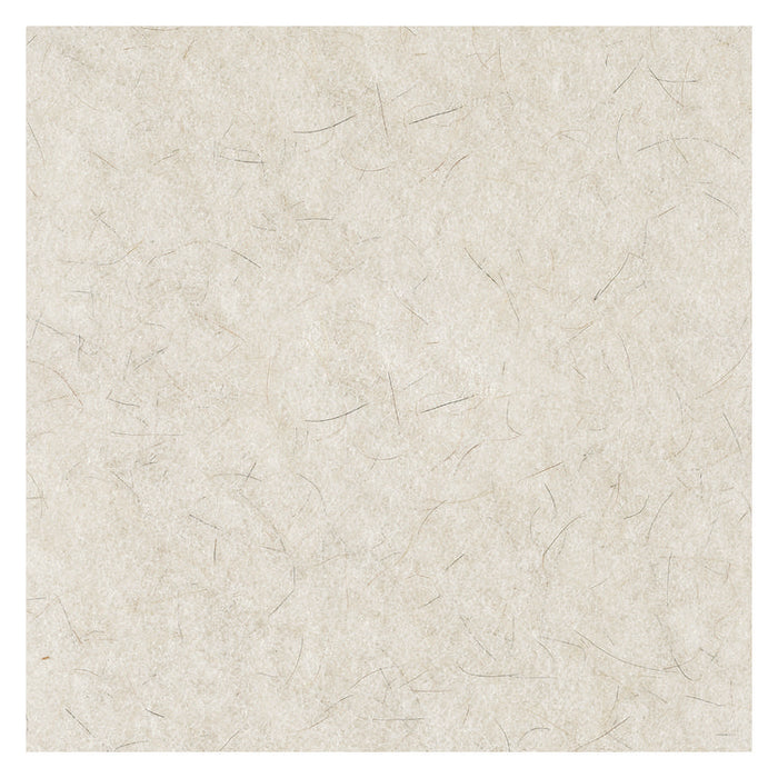 Natural Burnishing Floor Pads, 24" Diameter, White, 5/Carton