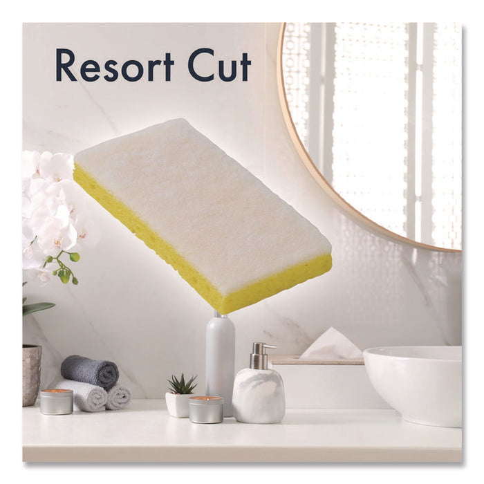 Resort Cut Scrub Sponge, Light Duty, 6.25" x 3.18", White/Yellow, 40/Carton