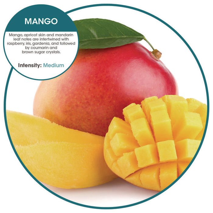 Hang Tag Air Freshener with Suction Cup, Mango, 72/Carton
