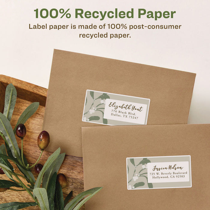 EcoFriendly Mailing Labels, Inkjet/Laser Printers, 2 x 4, White, 10/Sheet, 100 Sheets/Pack