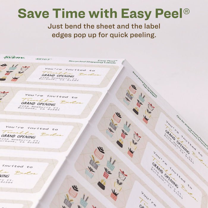 EcoFriendly Mailing Labels, Inkjet/Laser Printers, 2 x 4, White, 10/Sheet, 100 Sheets/Pack
