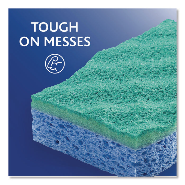 Scrunge Non-Scratch Scrub Sponge, 2.63 x 4.25, 1" Thick, Green/Blue, 2/Pack