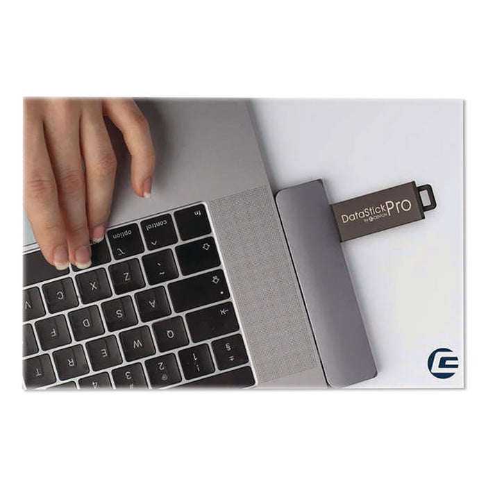 DataStick Pro USB 3.2 Type A Flash Drive, 256 GB, Black