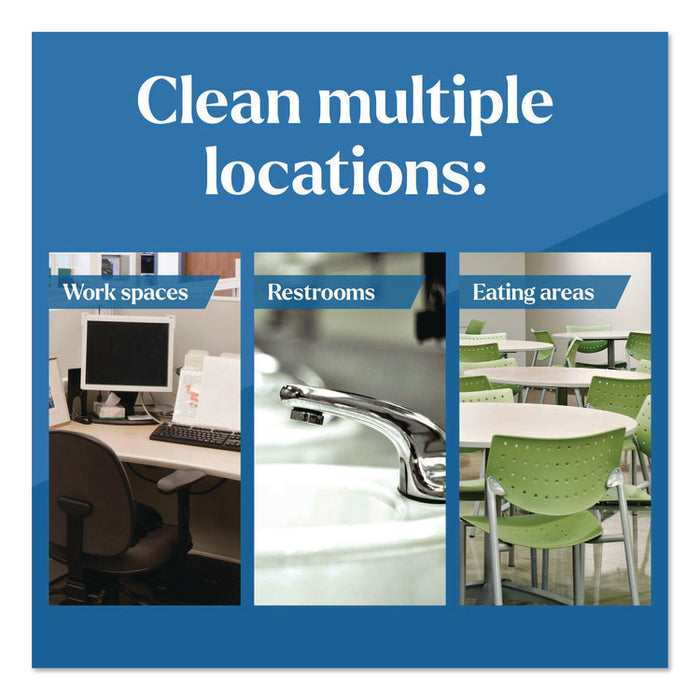 Clorox Pro EcoClean All Purpose Cleaner, Unscented, 32 oz Spray Bottle