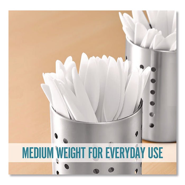 Mediumweight Plastic Cutlery, Knife, Plastic, White, 1,000/Pack