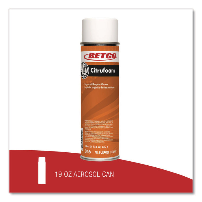 Citrufoam Cleaner/Degreaser, 19 oz Aerosol Spray, 12/Carton