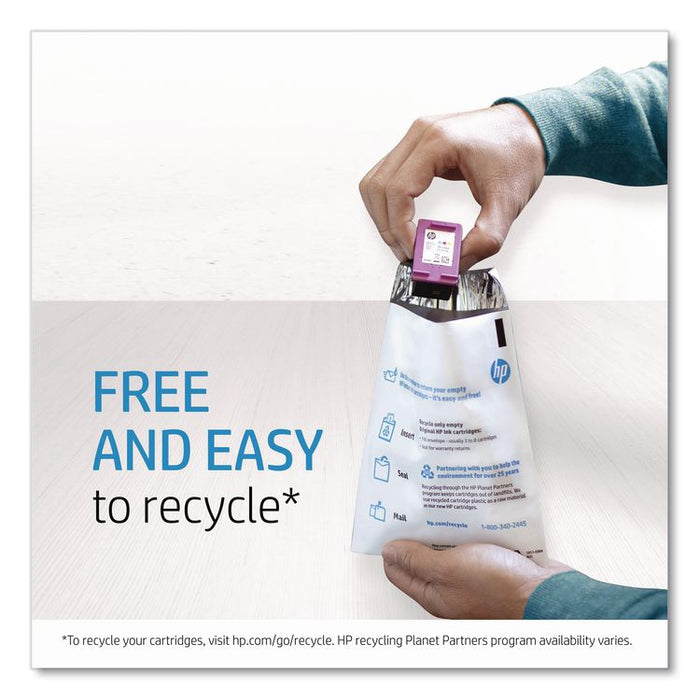 HP 72, (C9380A) Gray/Photo Black Printhead