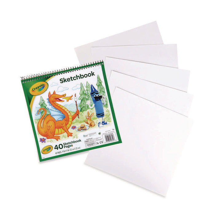 Wirebound Sketchbook, Animal Animations Gold/Green Cover, Unruled, (40) White 9 x 9 Sheets