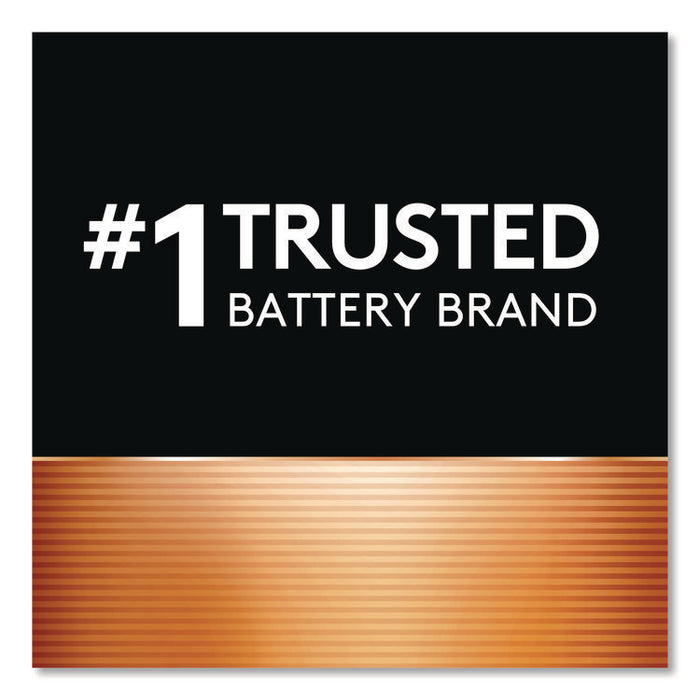 Hearing Aid Battery, #10, 16/Pack