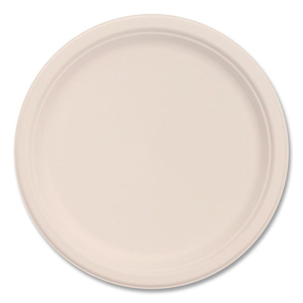 Bowls & Plates