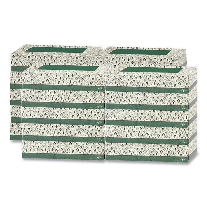 White Facial Tissue, 2-Ply, 100 Sheets/Box, 30 Boxes/Carton
