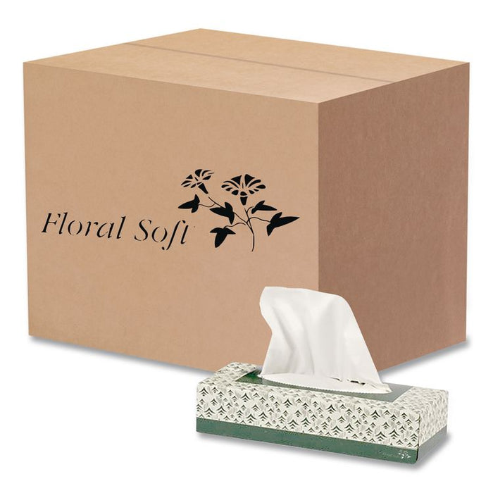 White Facial Tissue, 2-Ply, 100 Sheets/Box, 30 Boxes/Carton