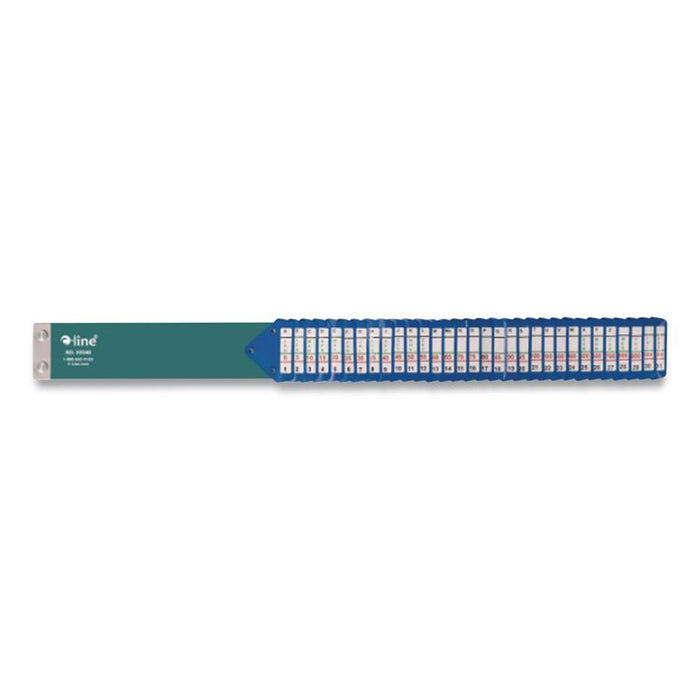 Heavy-Duty Indexed Sorter, 31 Dividers, Alpha/Numeric/Month/Date/Day Index, Letter Size, Blue Frame