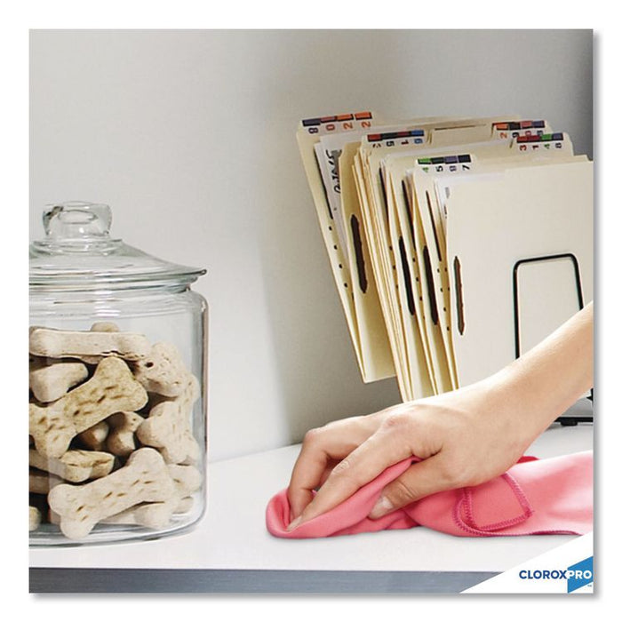 CloroxPro Anywhere Daily Disinfectant and Sanitizer, Unscented, 32 oz Spray Bottle