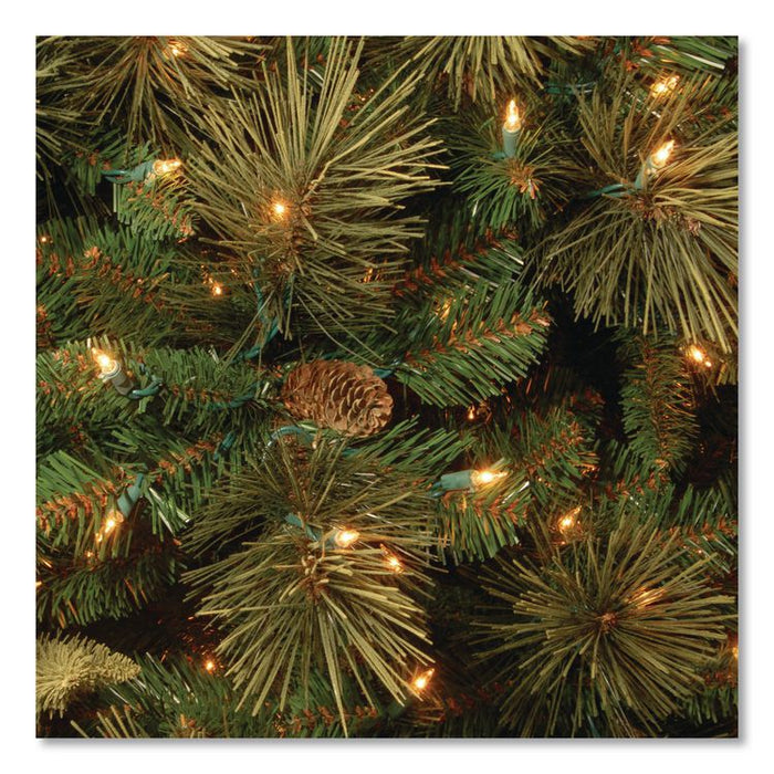 Pre-Lit Carolina Pine Slim Tree, 29" x 29" x 78", Green Tree, Green Tree Stand