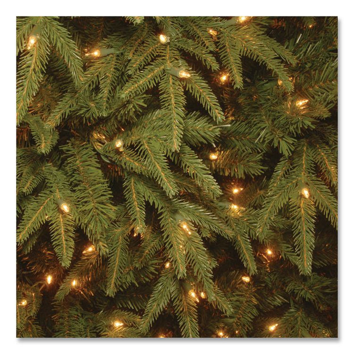 Pre-Lit Northern Fraser Tree, 57" x 57" x 90", Green Tree, Green Tree Stand