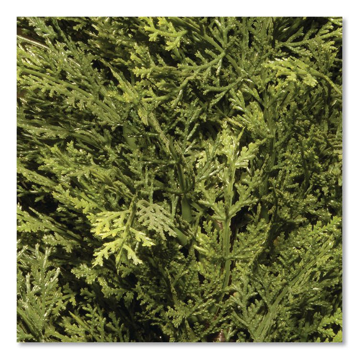 Cedar Topiary Tree, 13" x 13" x 53", Green Tree, Dark Green Pot