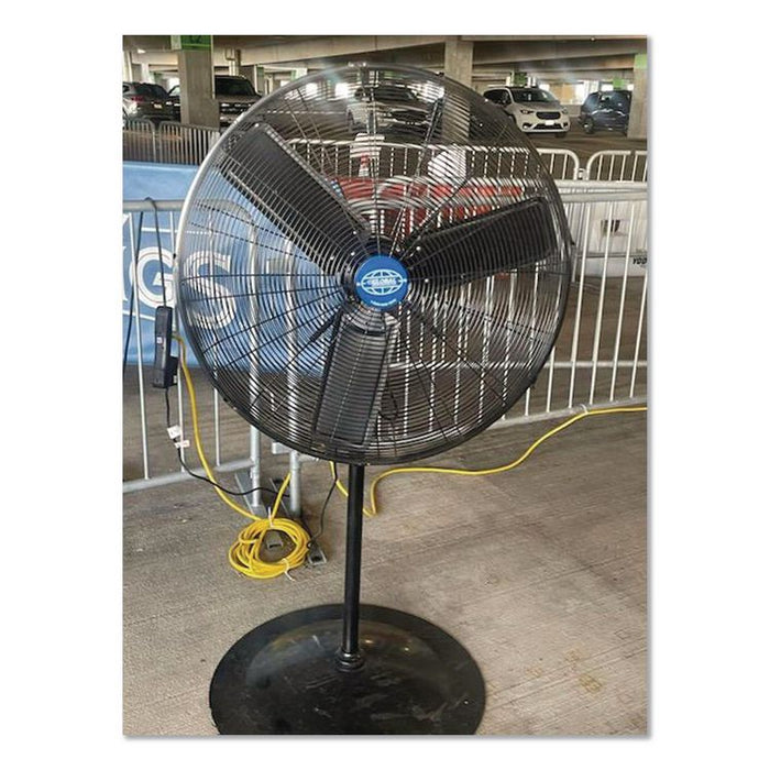 Oscillating Pedestal Fan, 30", 3 Speeds, Gray