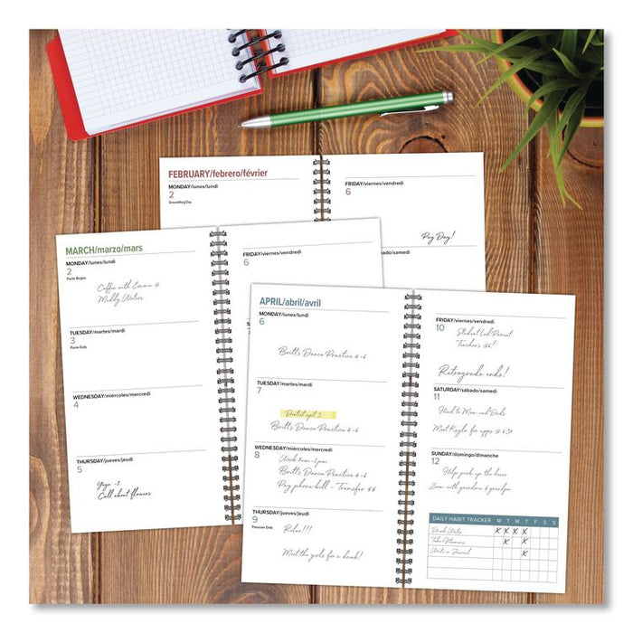 Woodland Mushroom Softcover Weekly/Monthly Spiral Planner, 6.5 x 3.5, Multicolor Cover, 12-Month (Jan to Dec): 2026