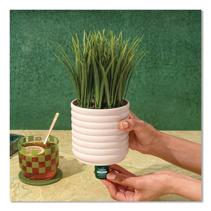 Evaporative Aromatherapy Essential Oil Grass Plant Diffuser with Fir Needle and Pine Essential Oil, 6.2 x 9.5, White/Green