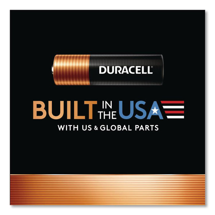 CopperTop Alkaline D Batteries, 4/Pack