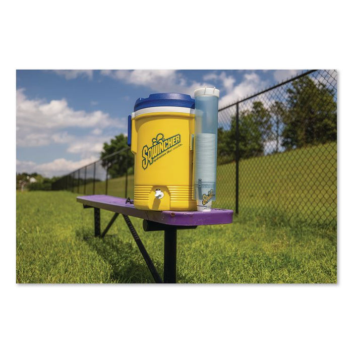 Powder Pack Concentrated Activity Drink, Assorted, 23.83 oz Packet, 32/Carton