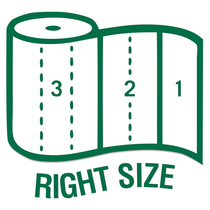 100% Recycled Paper Kitchen Towel Rolls, 2-Ply, 11 x 5.4, 156 Sheets/Roll, 24 Rolls/Carton