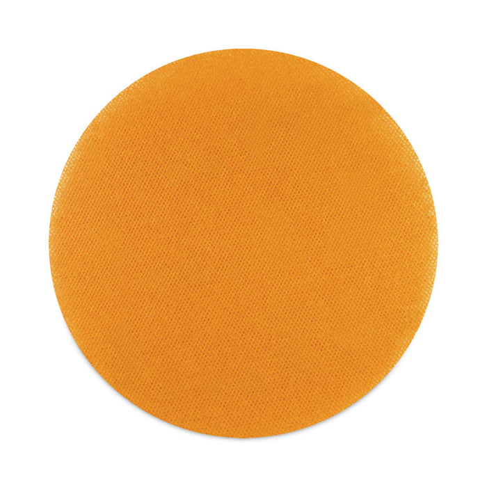 Cleaning/Abrasion Drive Plate, 20"