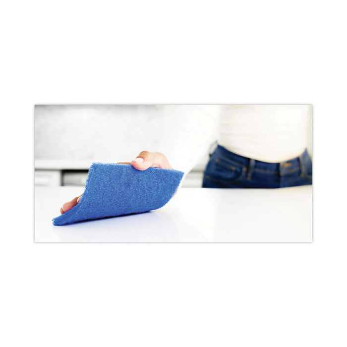 Non-Scratch Scour Pads, 3 x 6, Blue, 10/Carton