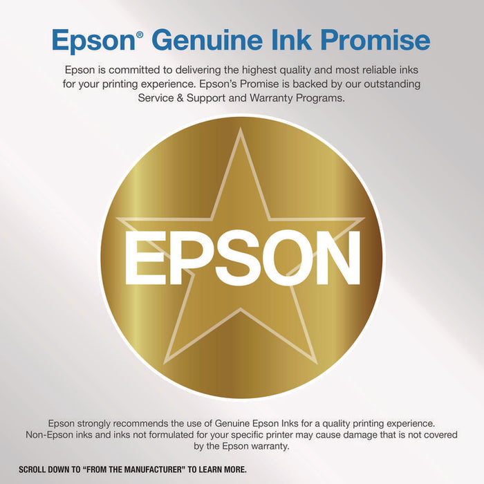 T890B00 UltraChrome GS3 Ink, Metallic Silver