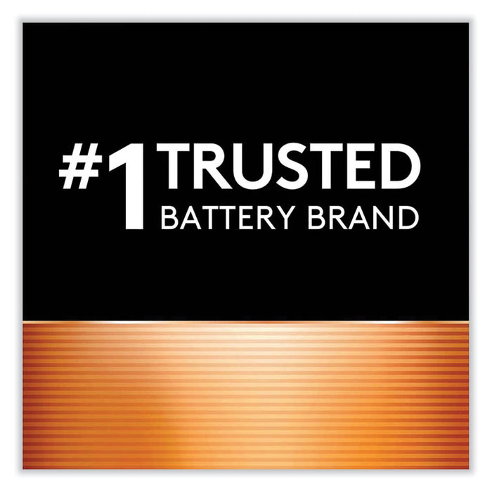 CopperTop Alkaline 9V Batteries, 2/Pack