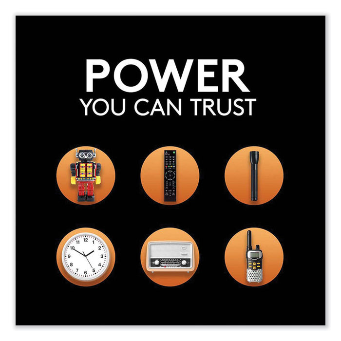 ION SPEED 1000 Advanced Charger, For AA and AAA, Includes 4 AA NiMH Batteries