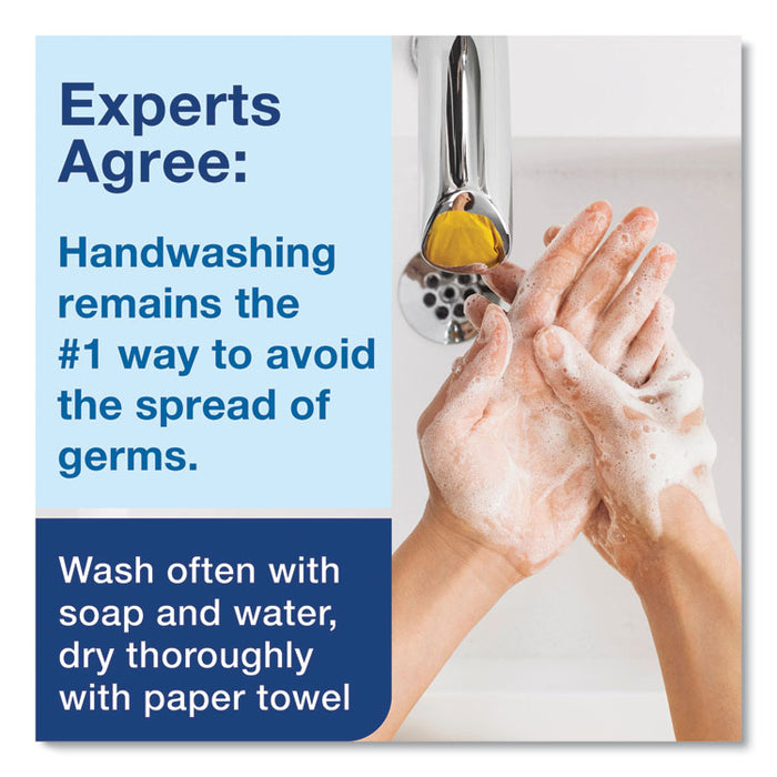 Premium Antibacterial Foam Soap Refill, Unscented, 1 L, 6/Carton