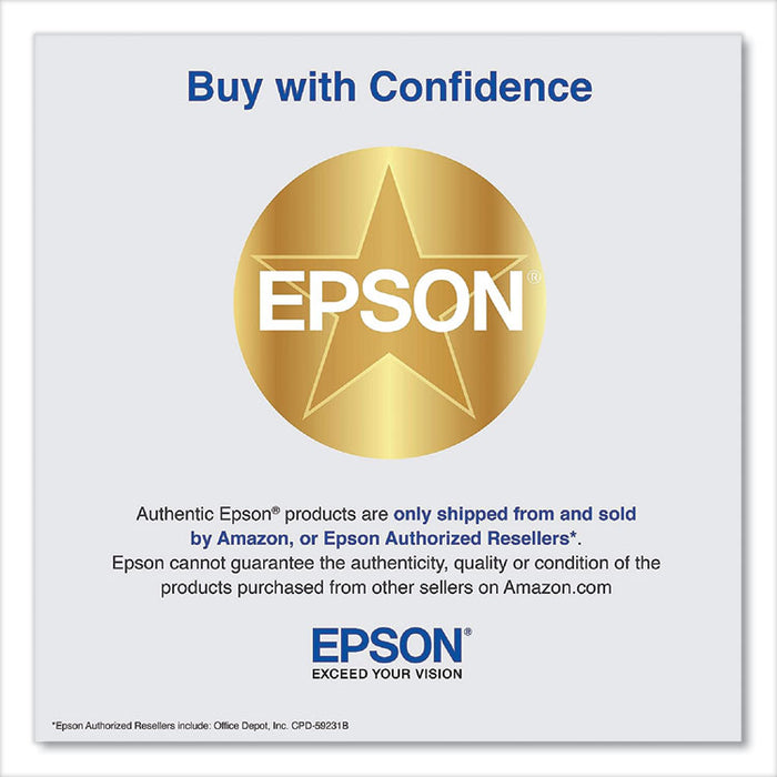 T850700 Ink, Light Black