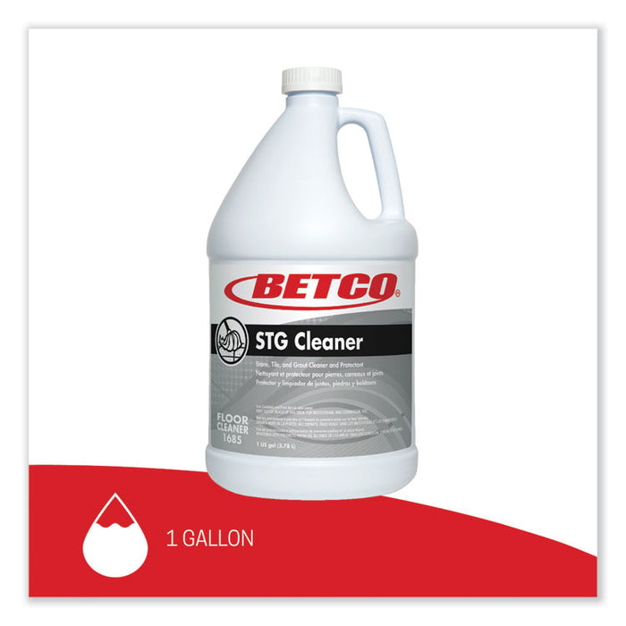 Stone, Tile, Grout Cleaner and Protectant, 1 gal Bottle, 4/Carton