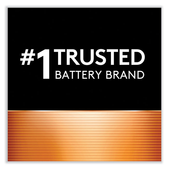 Power Boost CopperTop Alkaline AA Batteries, 4/Pack