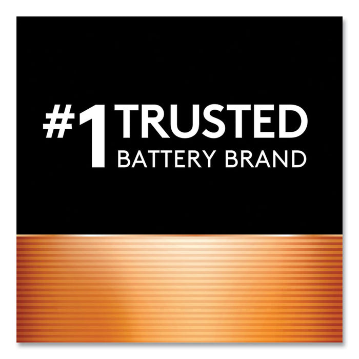 Power Boost CopperTop Alkaline AAA Batteries, 16/Pack