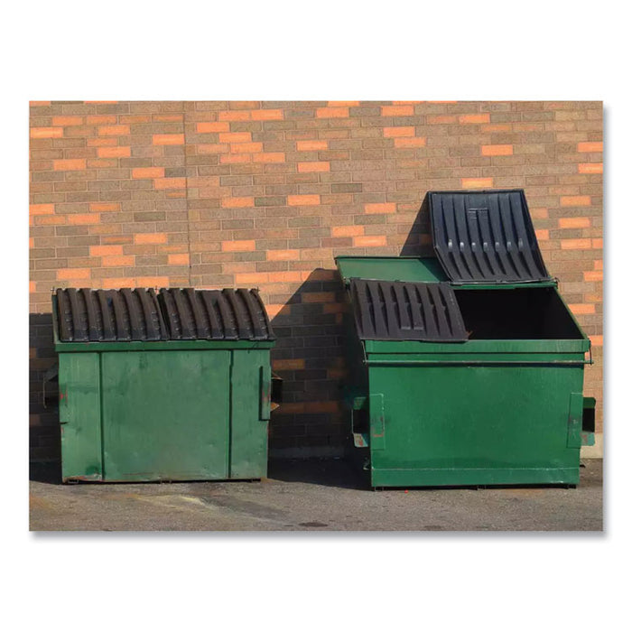 Dumpster Treatment, Mango, 1 gal Bottle, 4/Carton