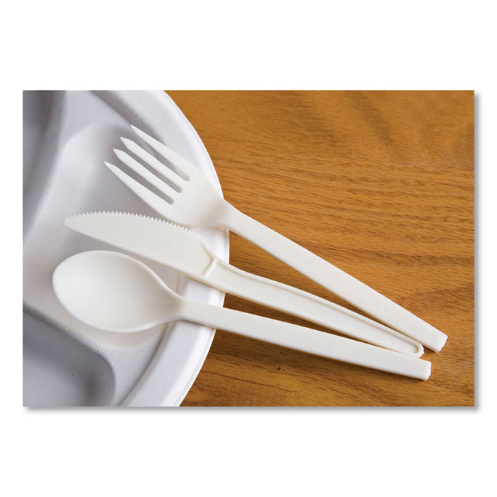 EcoSense Renewable Plant Starch Cutlery, Spoon, Plastic, Cream, 50/Pack, 20 Packs/Carton