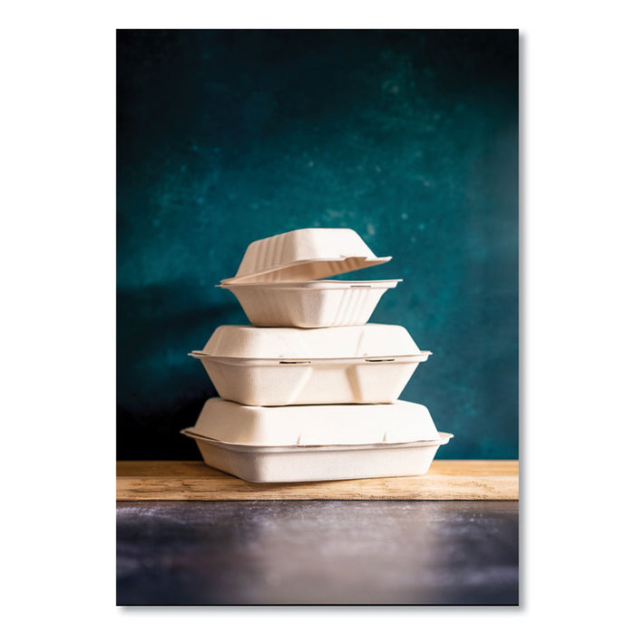 Nourish Molded Fiber Takeout Containers, Compostable, 3 Compartments, 9 x 9 x 3, White, Sugarcane, 200/Carton