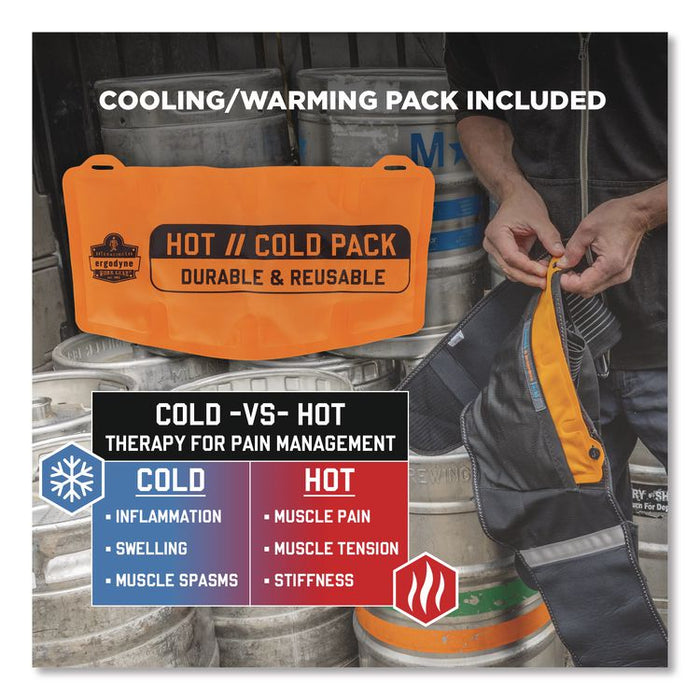 Proflex 1675 Back Support Brace with Cooling/Warming Pack, 3X-Large, 46" to 52" Waist, Black