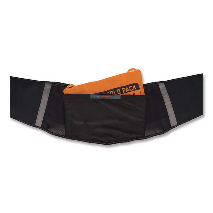 Proflex 1675 Back Support Brace with Cooling/Warming Pack, X-Small, 22" to 25" Waist, Black