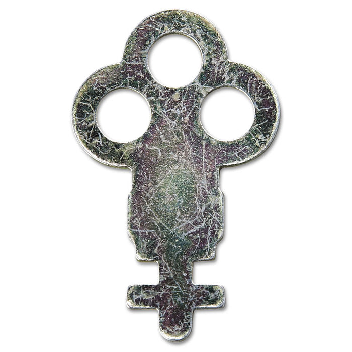 Key for Metal Toilet Tissue Dispensers: T800, T1905, T1900, T1950, T1800, R1500