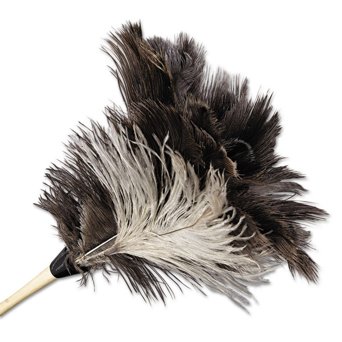 Professional Ostrich Feather Duster, 13" Handle