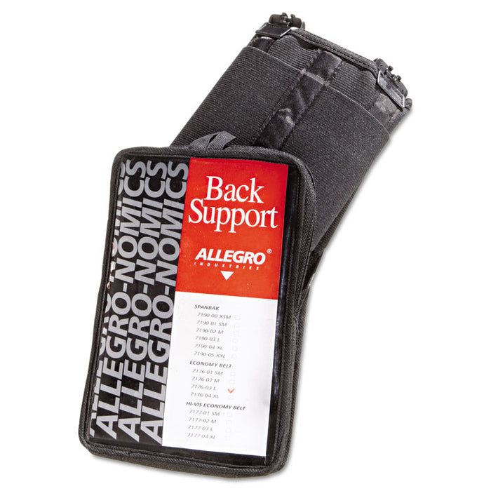 Economy Back Support Belt, Large, Black