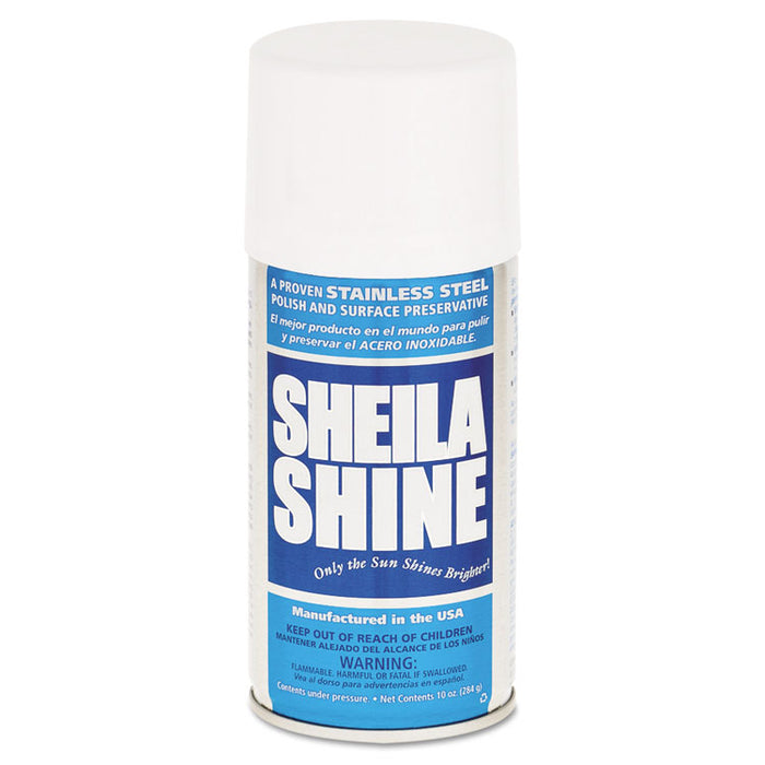Stainless Steel Cleaner and Polish, 10 oz Aerosol Spray