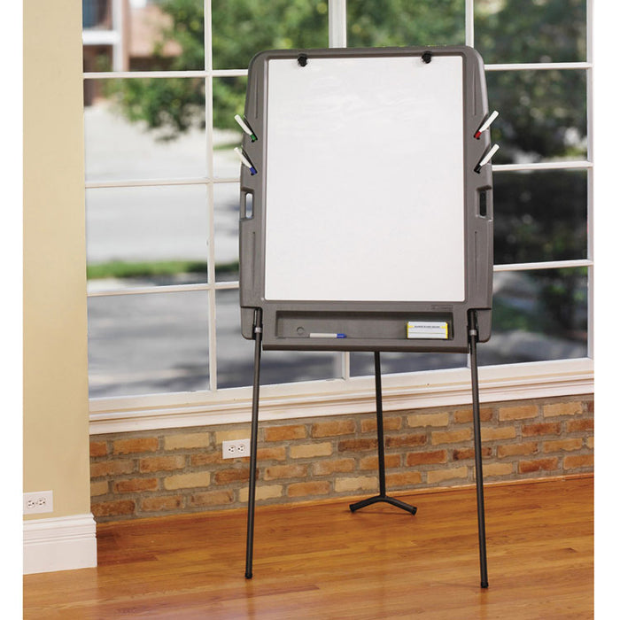 Ingenuity Portable Flipchart Easel with Dry Erase Surface, Resin Surface Frame, 35 x 30 x 73, Charcoal