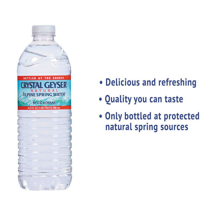 Alpine Spring Water, 16.9 oz Bottle, 24/Case