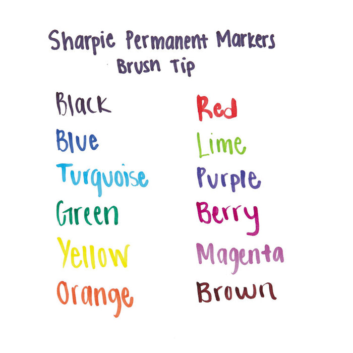 Brush Tip Permanent Marker, Medium, Black, Dozen